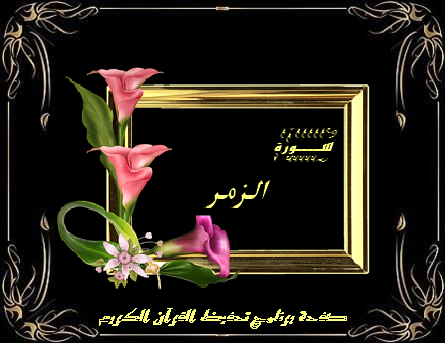 تحميل Epub لله ثم للتاريخ