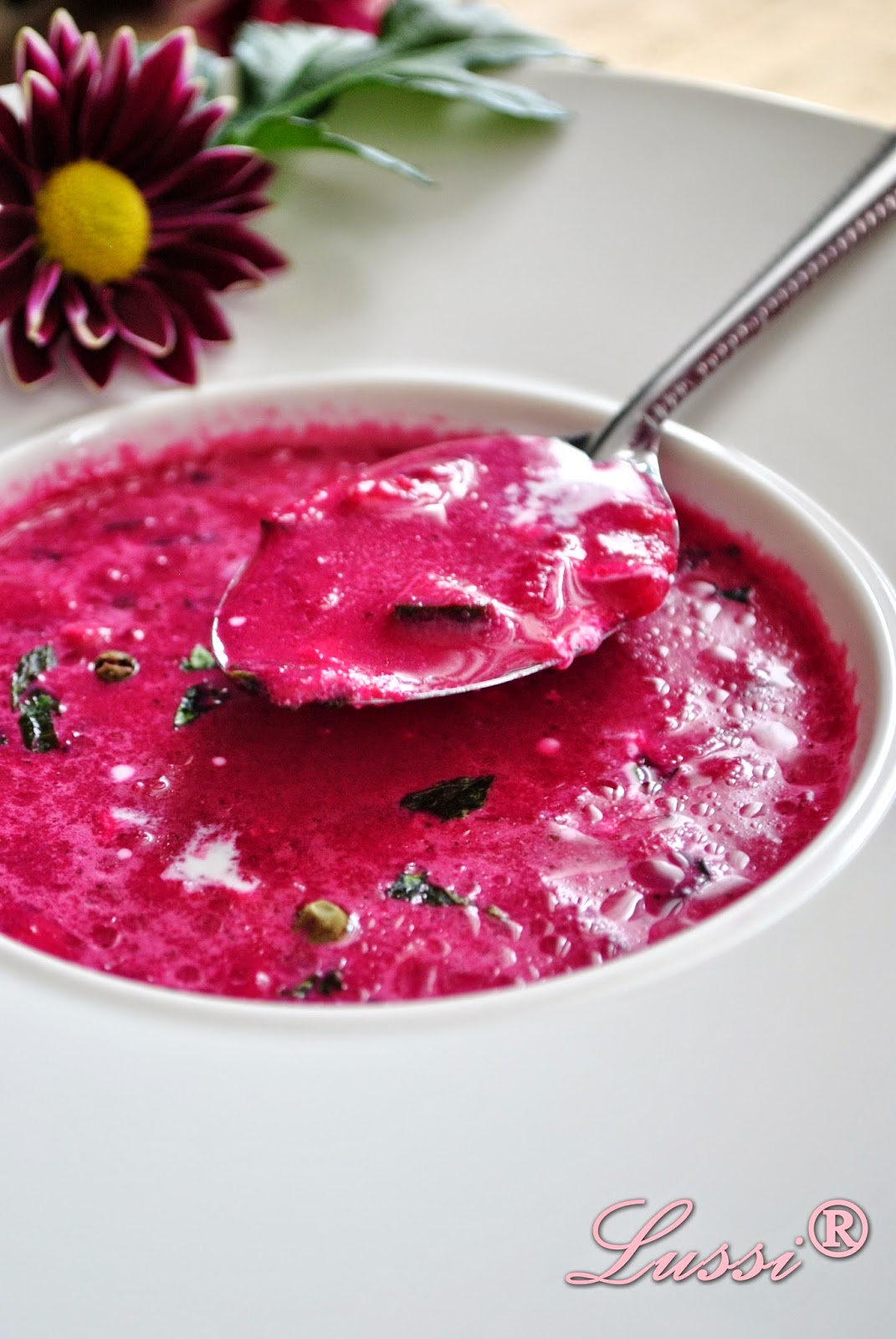 Lussi`s World of Artcraft Студена розова супа по руски / Cold Russian