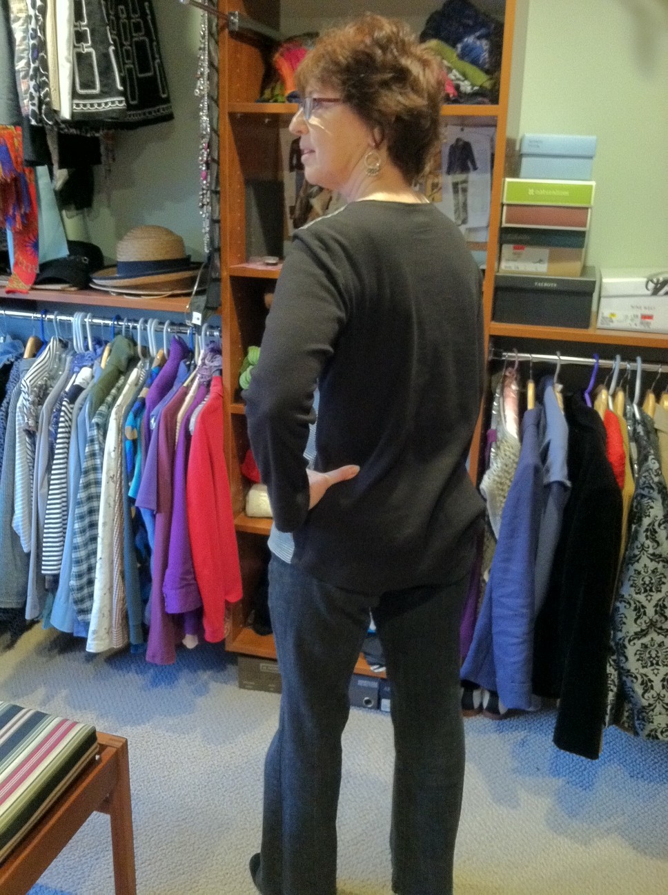 Diary of a Sewing Fanatic "Carolyn Inspired" by Denise...