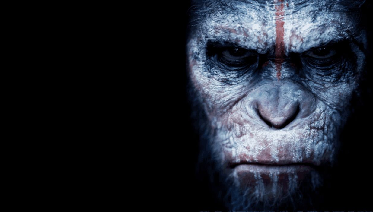 Dawn Of The Planet Of The Apes Wallpaper Iphone All Hd Wallpapers