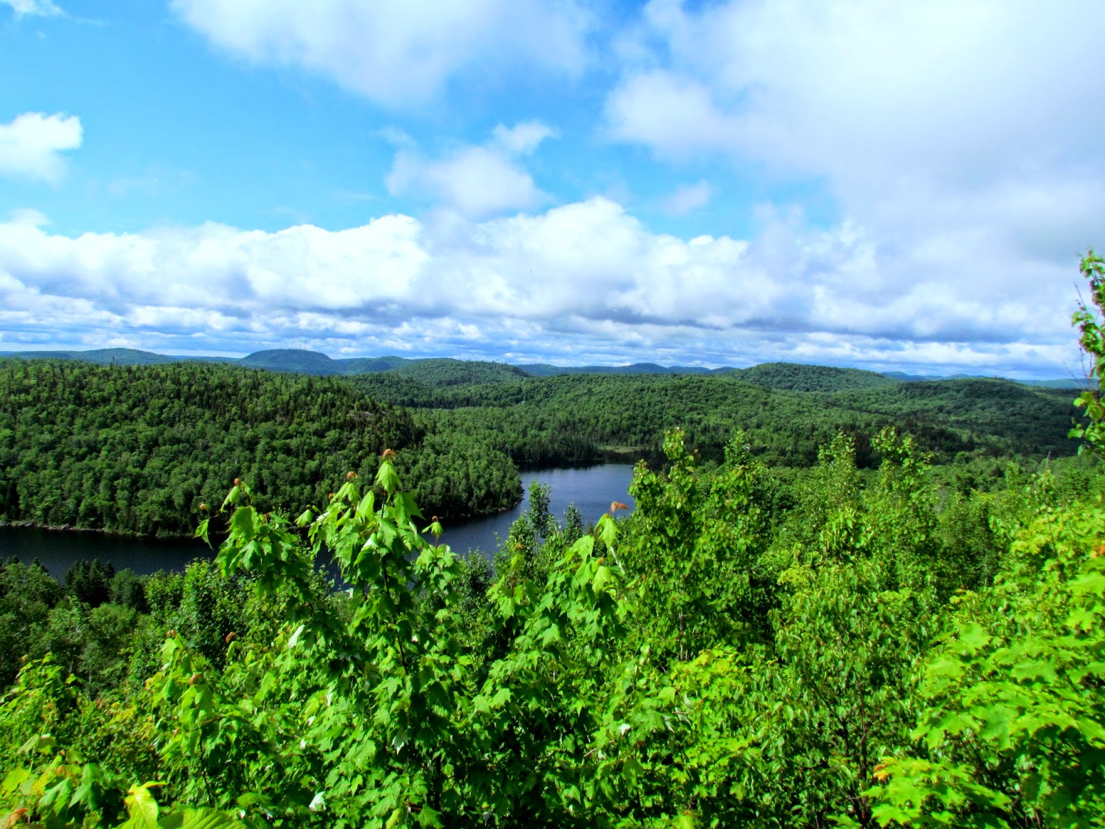 Terrain ValDavid Terrain ValDavid