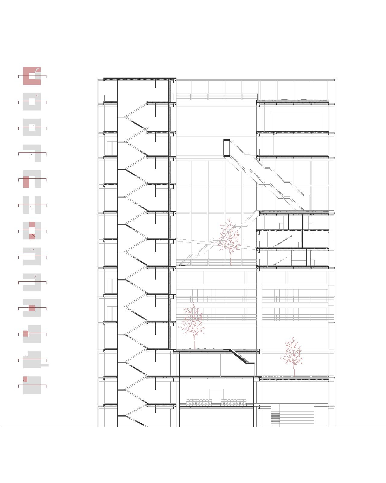 PFC_Laura Núñez Villalón: sección por el patio