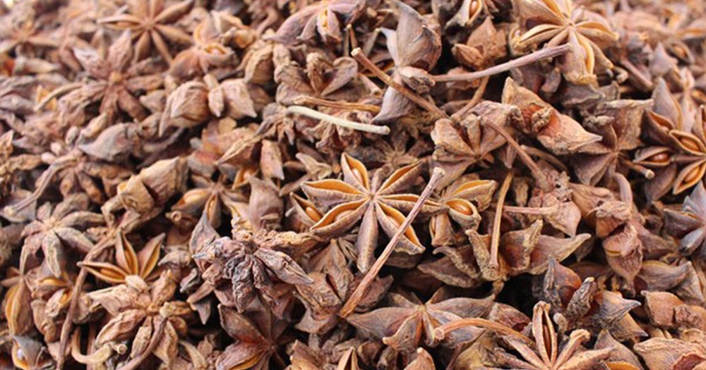 Star Anise. What to cook with Aniseed.