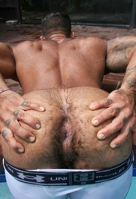 bisexual-xxx-men-with-hairy-butt-holes-signs-and