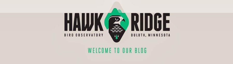Hawk Ridge Blog