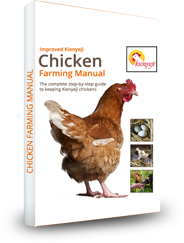Order Your Kienyeji Chicken Manual Now!!