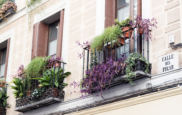 balcones con plantas