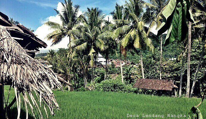 Jalan-Jalan Ke Desa Wisata Lendang Nangka