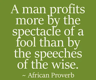 A man profits more by the spectacle of a fool than by the speeches of the wise. ~ African Proverb