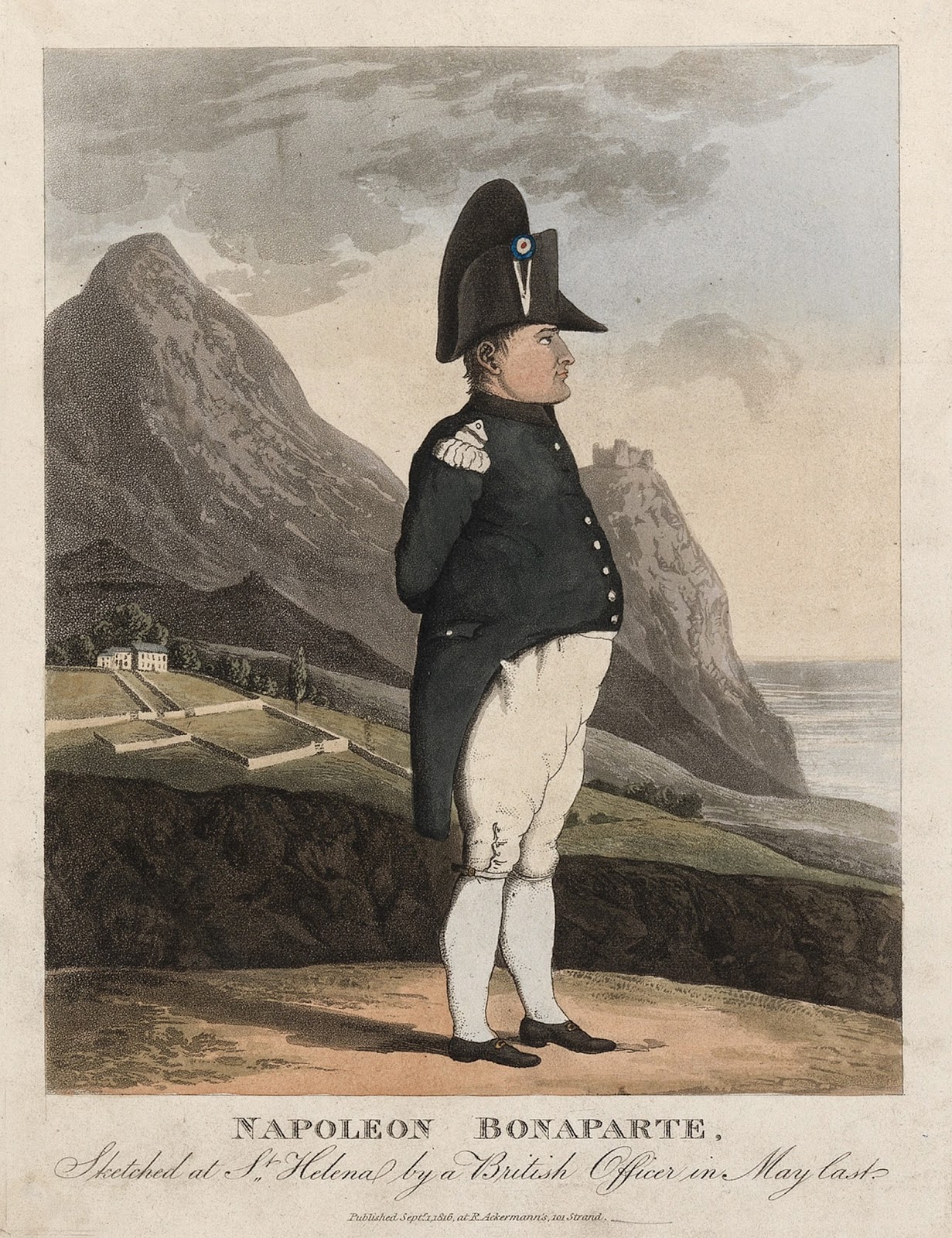 Наполеон бонапарт на острове святой елены картины