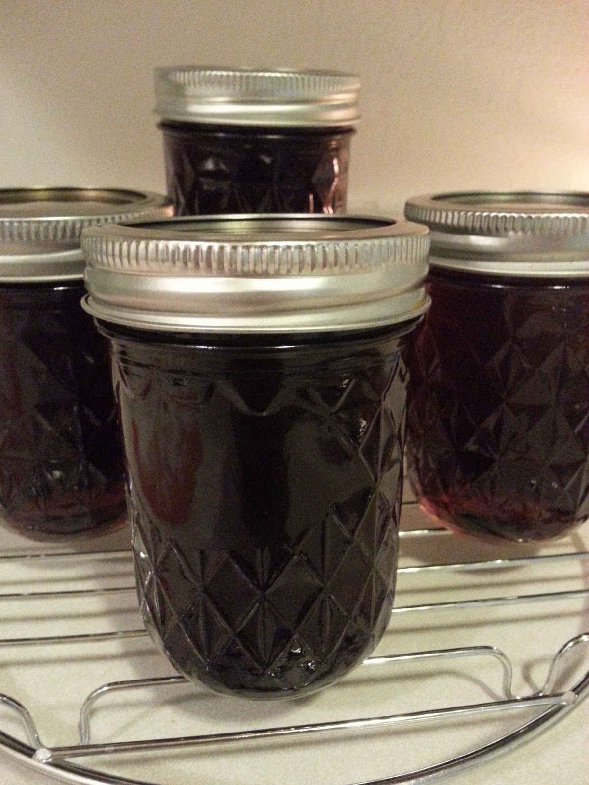 Morsels of Chocolate Imitation Maple Syrup