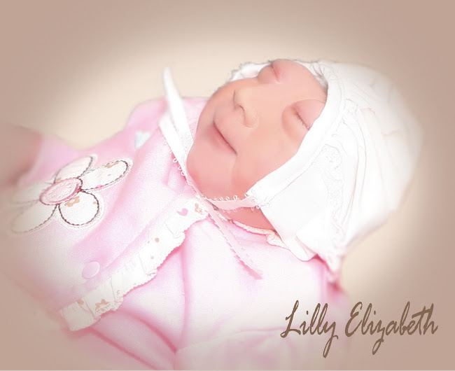 Our Miracle Lilly Elizabeth
