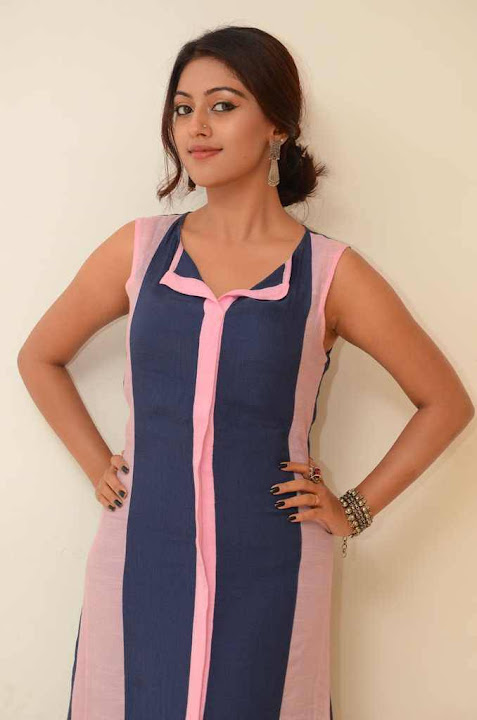 Anu Emmanuel At Majunu Movie Audio Success Meet