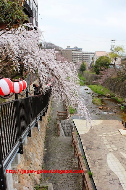 Sakura Arima Onsen