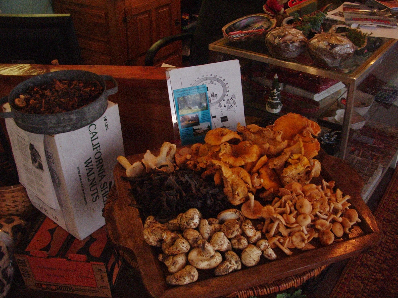 Fort Bragg Forest Mushroom Harvest Hidden Pines Market