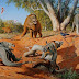 Grande extinção da megafauna australiana causada pelo homem!