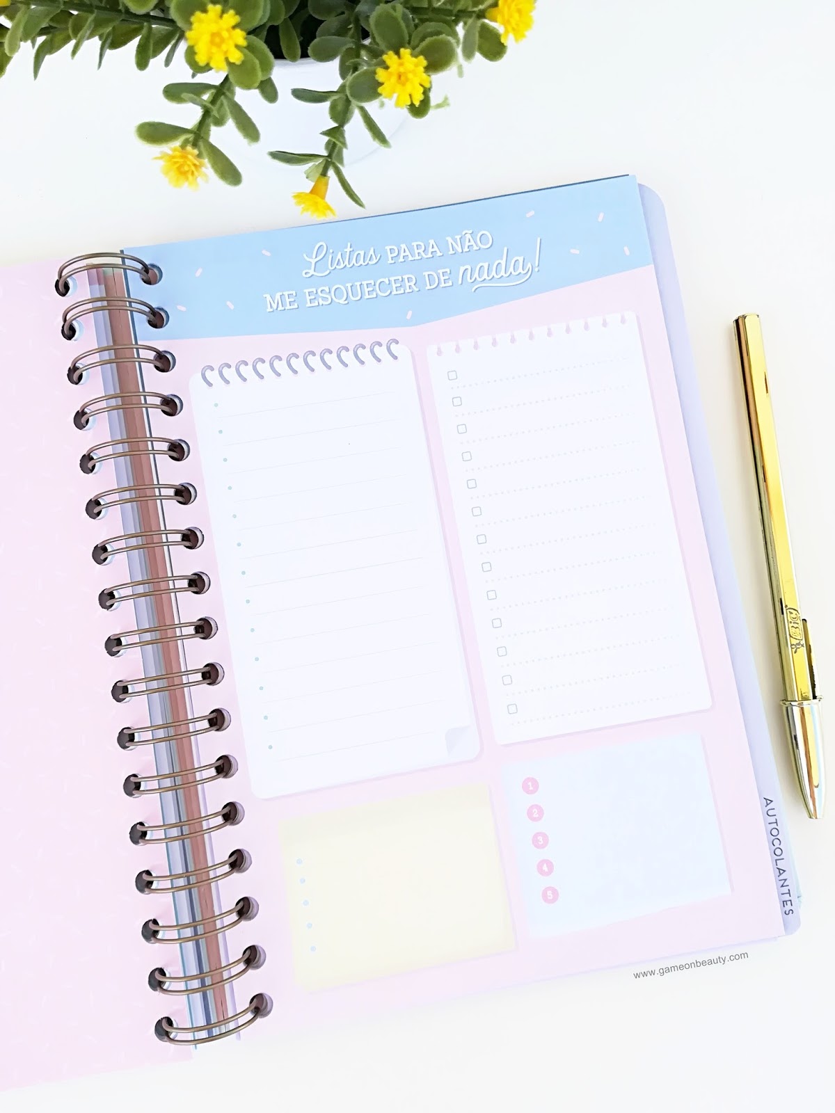 Agenda Mr. Wonderful Agenda Mr. Wonderful- Game on, Beauty!