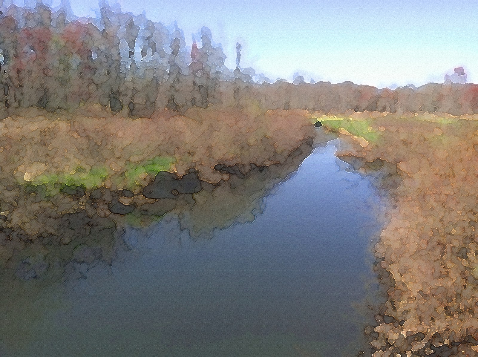 The Orangerie Black Creek 5