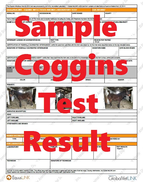 The Mane Point: Let's review the Coggins Test and Equine Infectious Anemia.