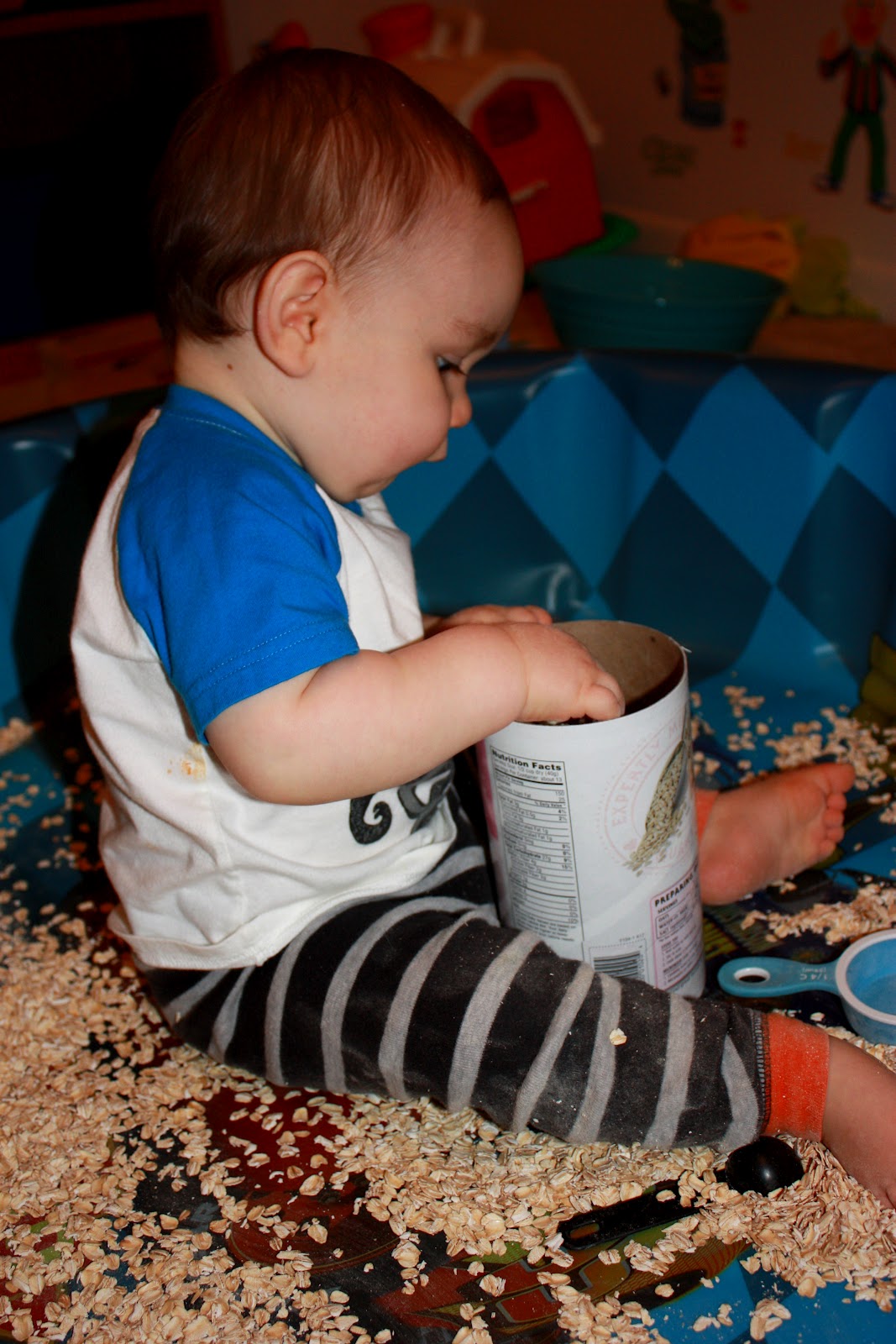 Dirt & Dinosaurs Oatmeal