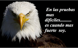 aguilas frases imagenes superacion muy chidas lindas ver compartir pruebas mas invisible aprende lo fb