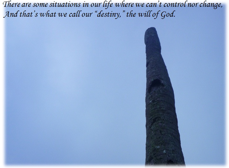 Photos with quotes: Your destiny
