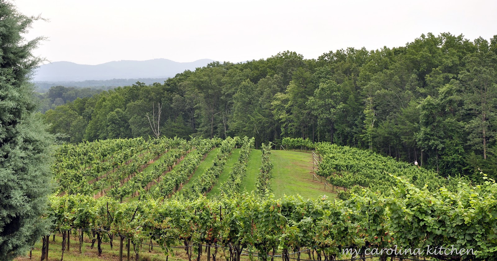 My Carolina Kitchen Monday Musings a visit to north wine country