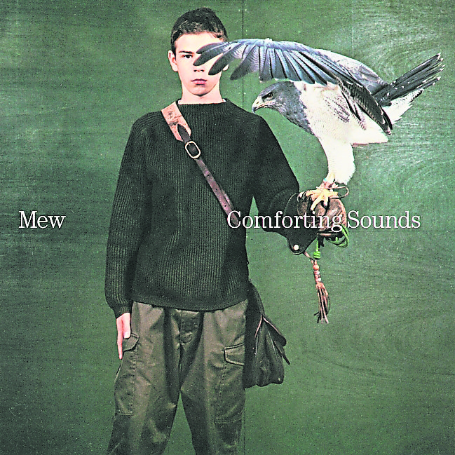 雨林小站 人间 Comforting Sounds