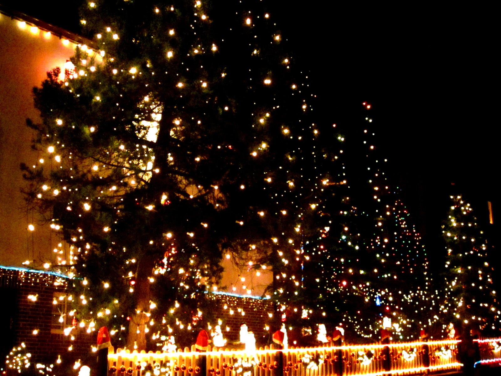 Cozy in Germany: The houses turn on their Christmas lights at night