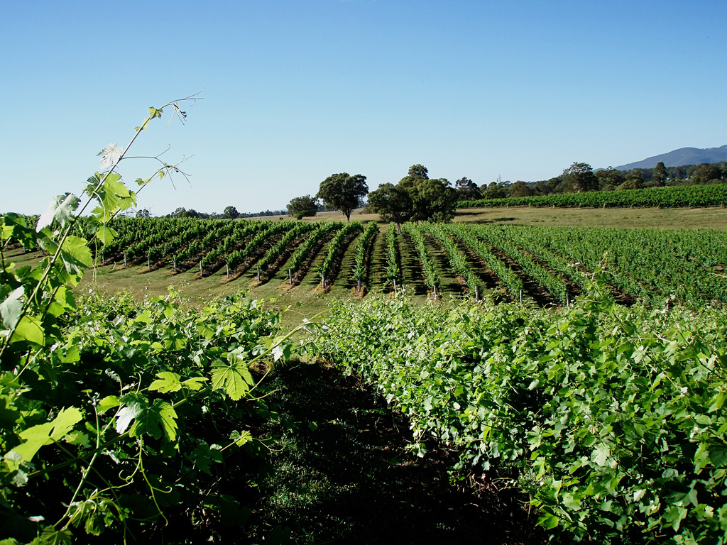 The McKelvey Journal