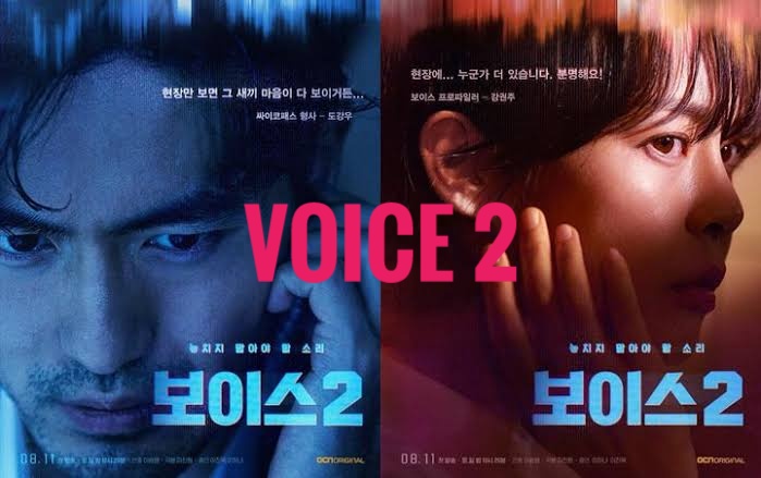 Drama Korea Voice 2 Sub Indo Batch Download Drama Korea Voice 2 Sub Indo Batch