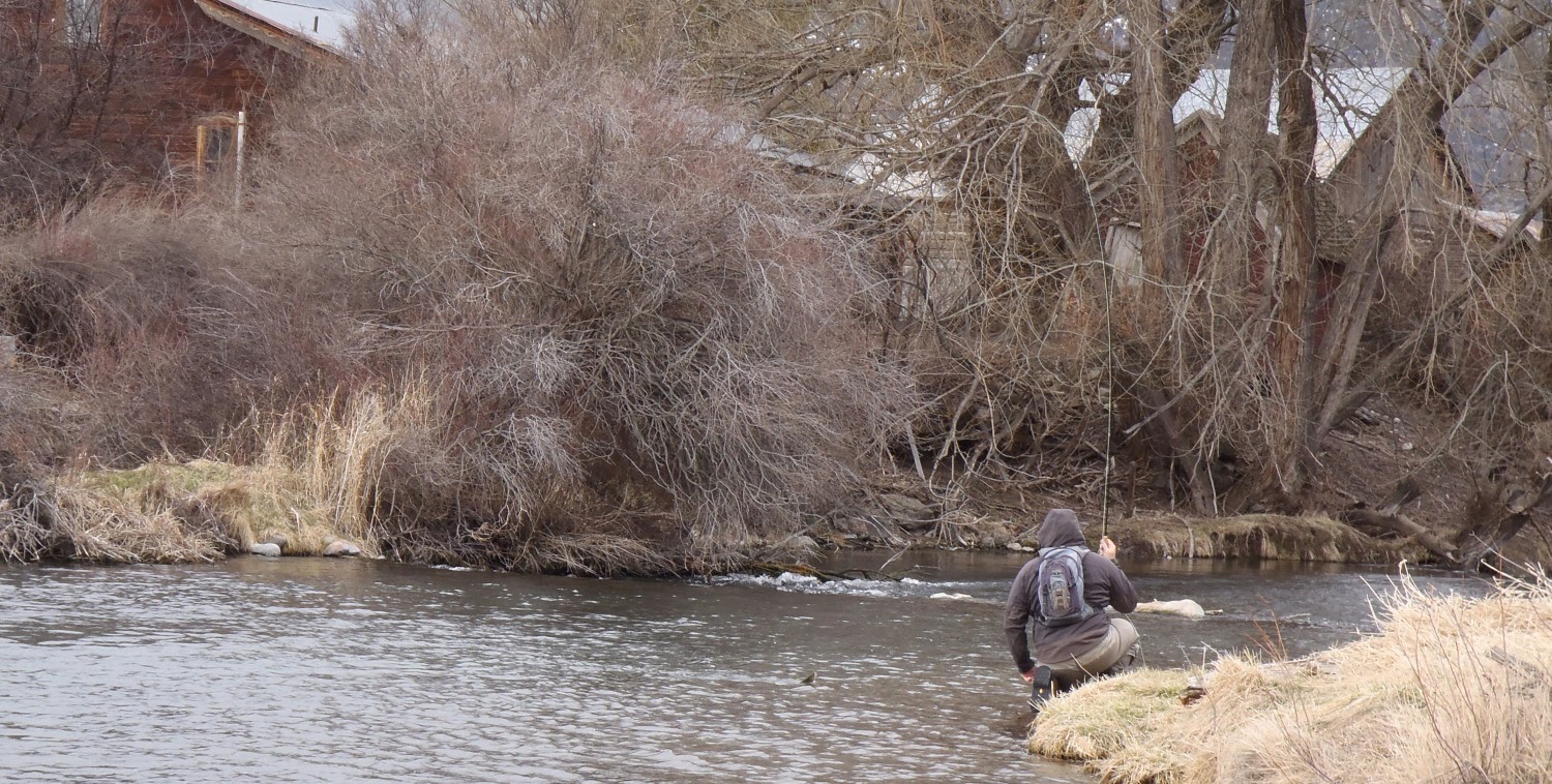 Mountains, Rivers, & Trout End of March Report Armstrong Spring Creek