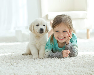 Choose Wolf Brothers Carpet Cleaners to Make Your Carpet New Again