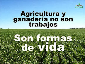 Agricultura y Ganadería Formas de Vida.