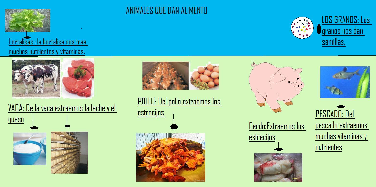 Logistica y mercadeo de alimentos ANIMALES QUE DAN ALIMENTO
