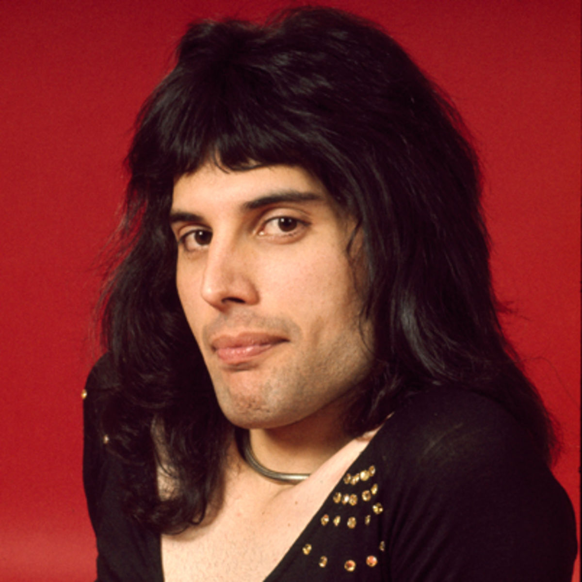 In Memoriam Freddie Mercury In Memoriam Freddie Mercury