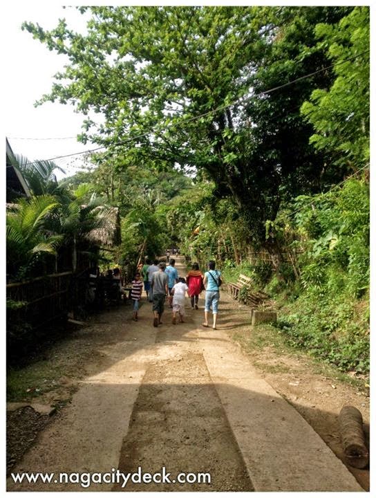 Guide to Caramoan: Mt. Caglago, Tabgon ~ Naga City Deck