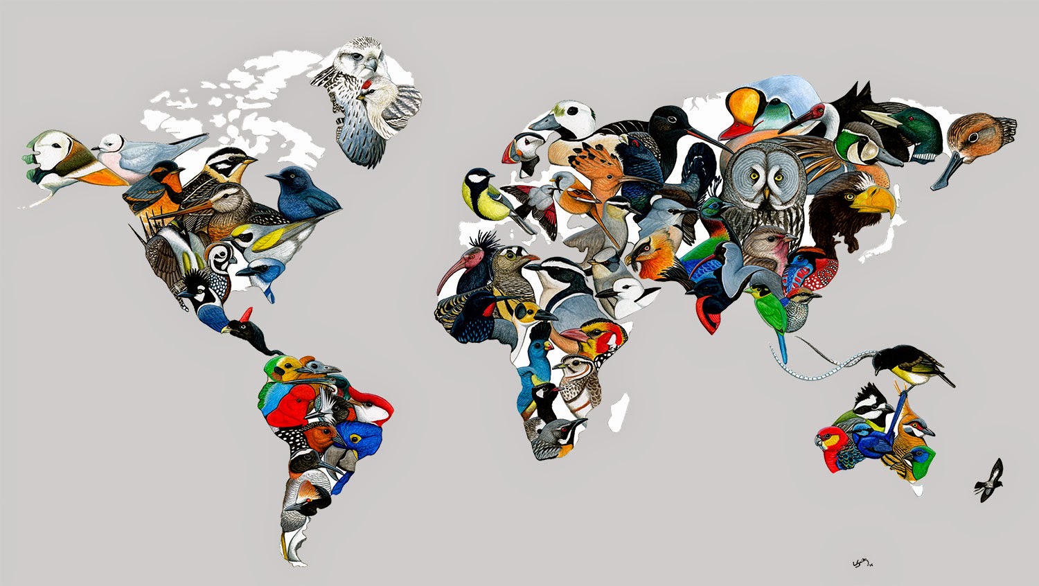 The world bird map