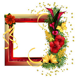 frame flowers gold frames field christmas clipart birthday background borders designs photoshop happy transparent clip friends yopriceville wallpapers labels pngkey