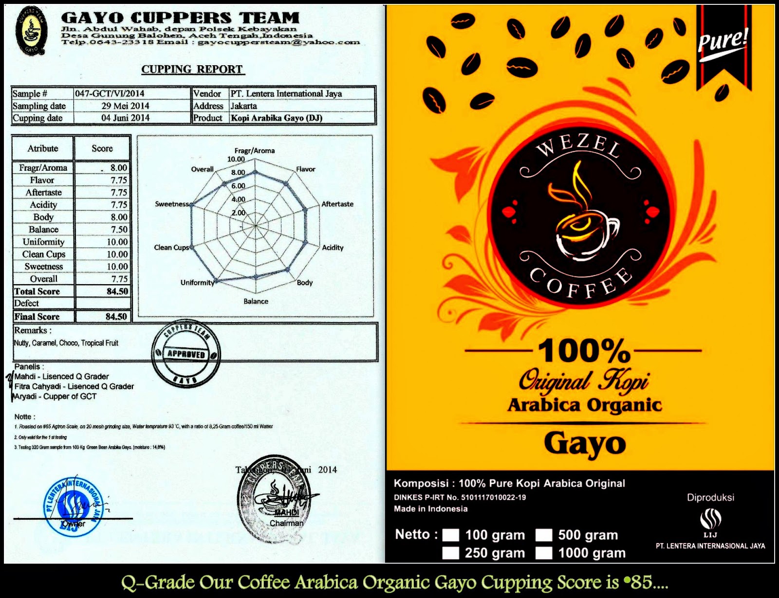 kopi luwak civets coffee from gayo mountain kopi luwak civets coffee from gayo mountain