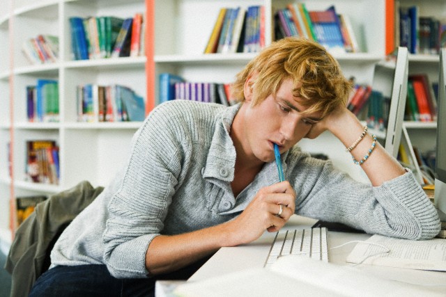 Long essay project picture