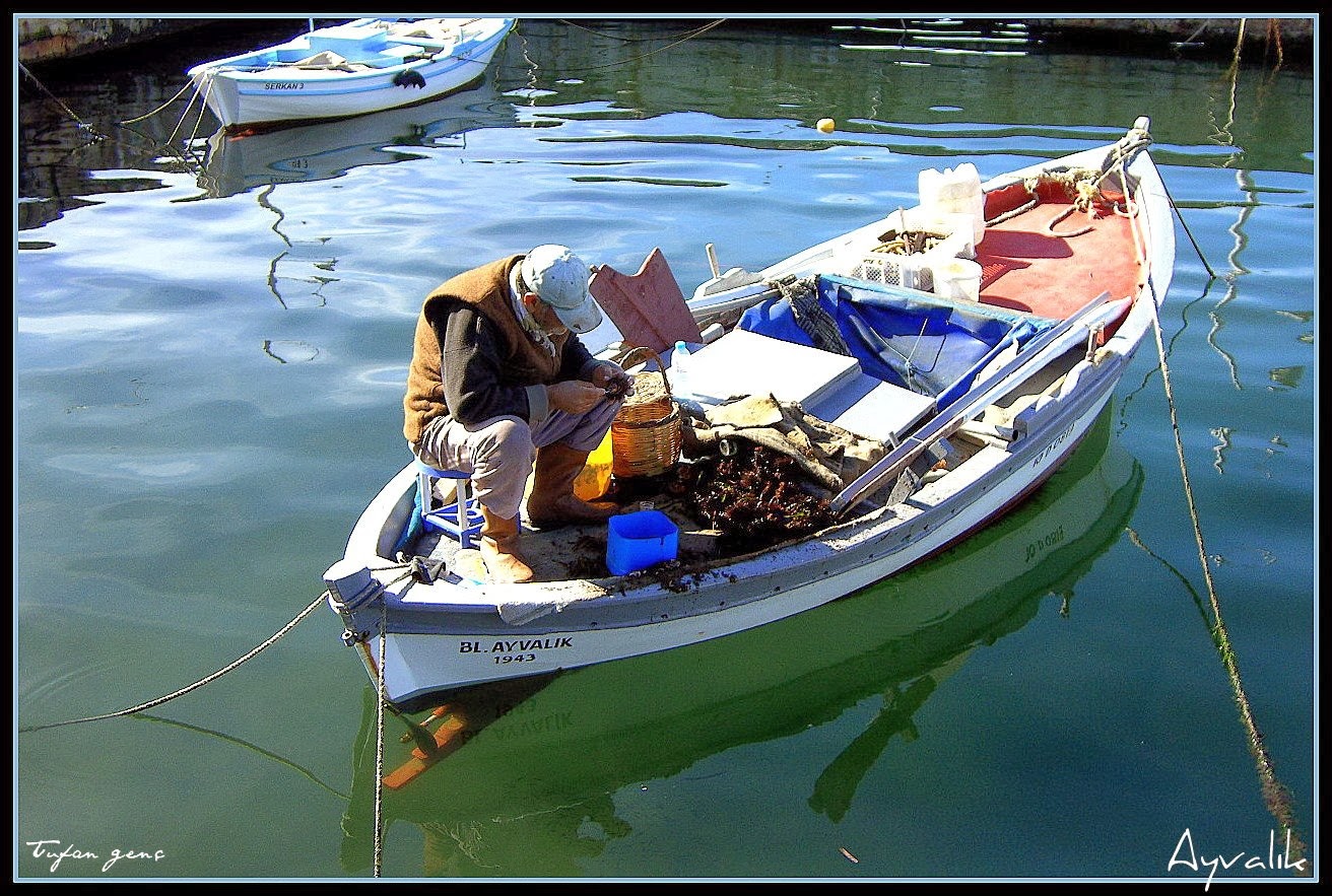 Balıkçı/Ayvalık