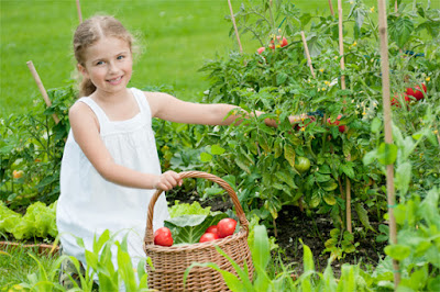 Alimentación ecológica