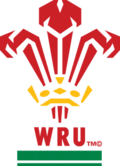 Selección de rugby de Gales: corona con tres plumas de avestruz