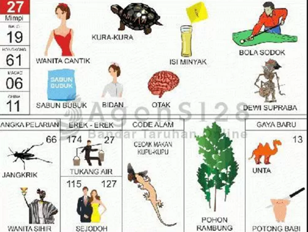 Angka Mimpi Kura Kura 2d 3d 4d Bergambar Dalam Buku Mimpi Buku Mimpi Bergambar Angka Mimpi Kura Kura 2d 3d 4d Bergambar Dalam Buku Mimpi Buku Mimpi Bergambar