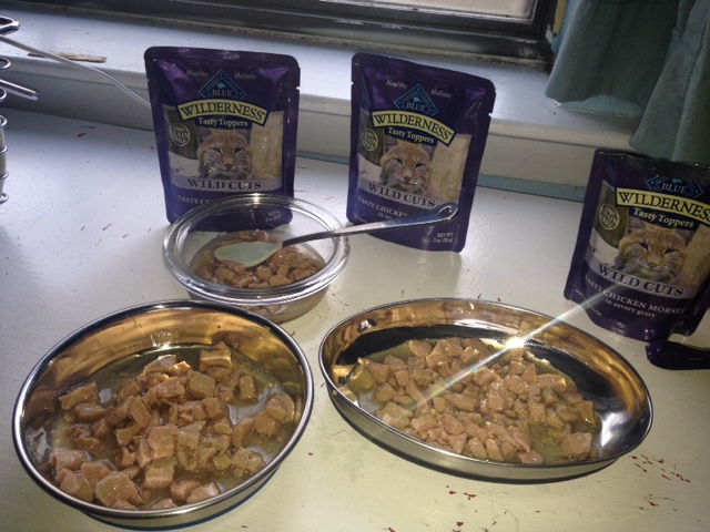 Life with Ragdolls: Chewy.com Review: Blue Buffalo Wilderness Wild Cuts Chicken Cat Food Topper
