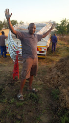 cape africa south tunnels greenhouse north western eastern greenhouses state tunnel farming mpumalanga northern west vegetable bloemfontein garden
