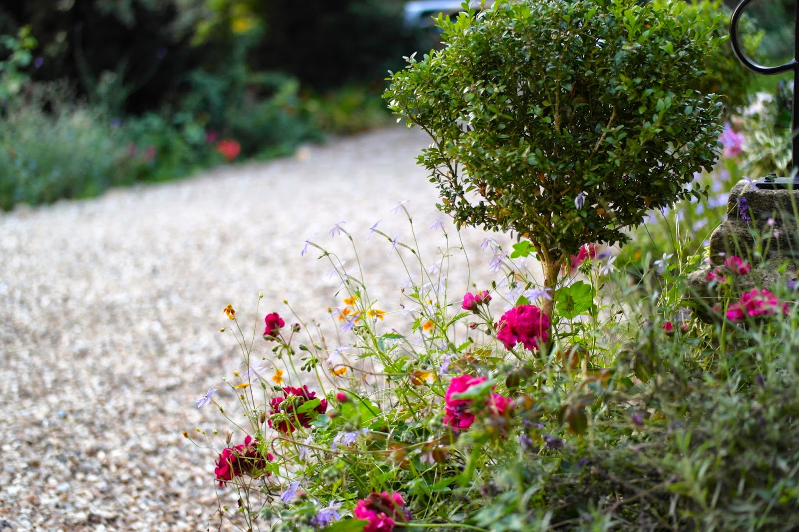 Cheese and Biscuits Little Barwick House, Somerset
