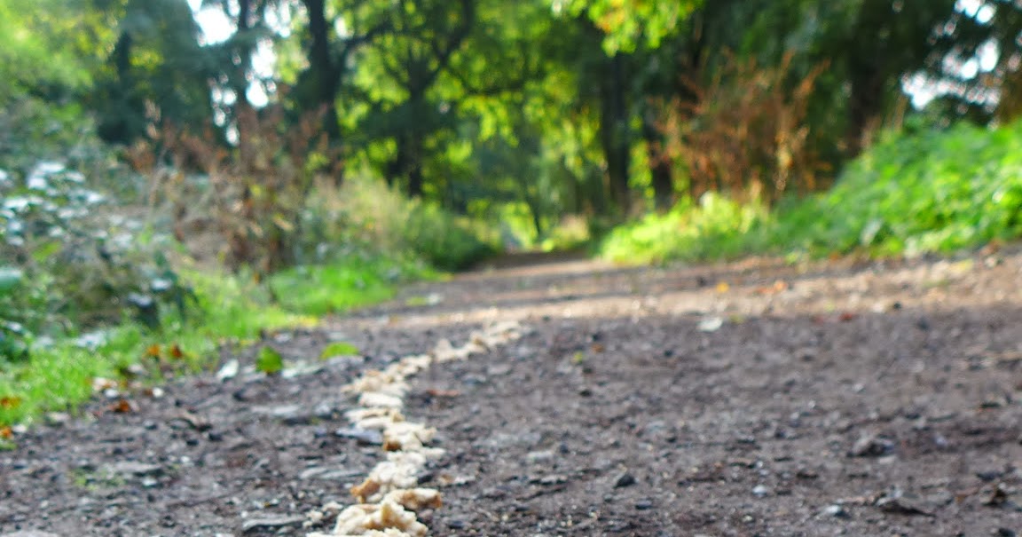 KS2 Hill Mead Primary, Brixton The breadcrumb trail