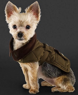 abrigo perro Ralph Lauren